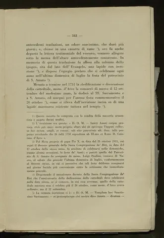 _0344_S.Amato da Nusco_Monografia storico critica_348.webp