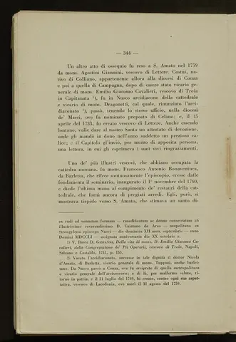_0345_S.Amato da Nusco_Monografia storico critica_349.webp
