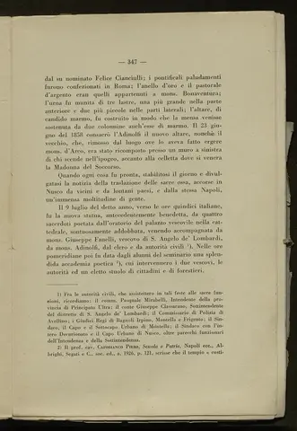 _0348_S.Amato da Nusco_Monografia storico critica_352.webp