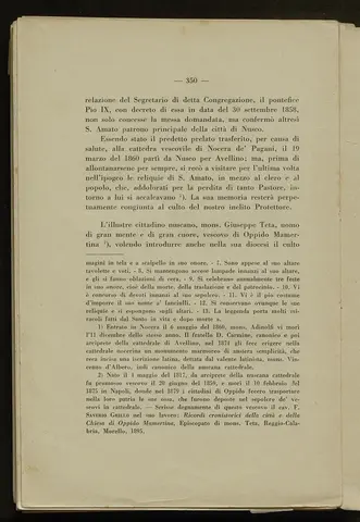 _0351_S.Amato da Nusco_Monografia storico critica_355.webp