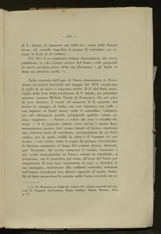 _0352_S.Amato da Nusco_Monografia storico critica_356.webp