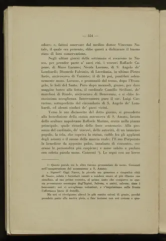 _0355_S.Amato da Nusco_Monografia storico critica_359.webp