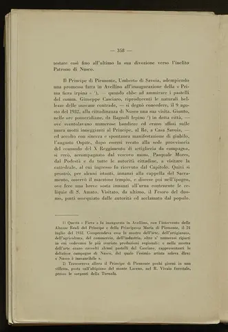 _0359_S.Amato da Nusco_Monografia storico critica_365.webp