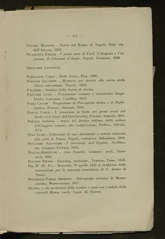 _0376_S.Amato da Nusco_Monografia storico critica_382.webp